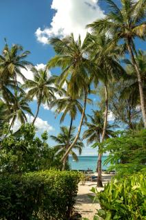 Pongwe Beach Hotel - 5