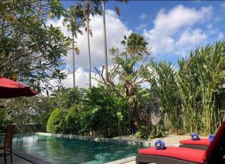 Enchanting Canggu Villa - 8
