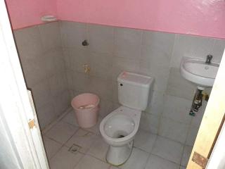 Basha house - 2