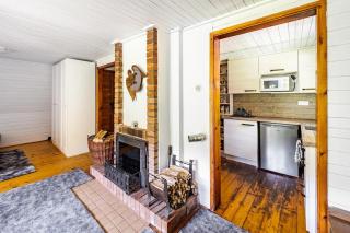 Cottage kingfisher - 6