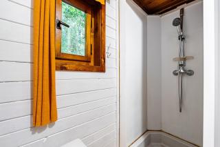 Cottage kingfisher - 3