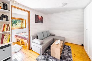 Cottage kingfisher - 4