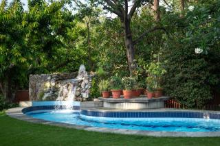 The Homestead - 5
