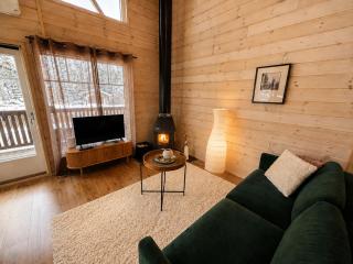 Northern Dream Cabin - Levi Ski & Golf - 5