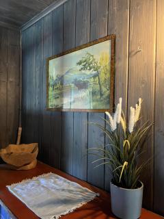 A Charming Off-Grid Cabin Close to Nature in Hemsedal - Hemsedal - 5
