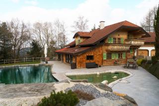 Luxury Chalet with Swimming Pond Nature Escape Upper Austria - 1