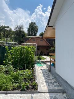 Cozy Single-Story House in Darpas Vanadzor - 6