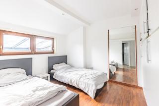 Schemder Bergmark in den Dammer Bergen - 4