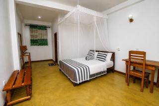 Dinaro Guest - 1