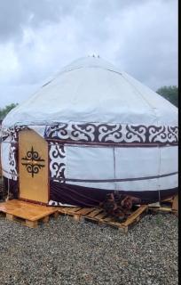 Yurt Camp - 5