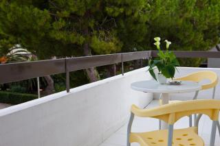 Hotel Clipper - Giulianova - 1