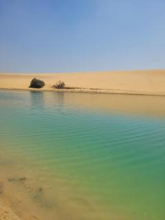 Bedouin Desert Camp with Safari Activities - 2