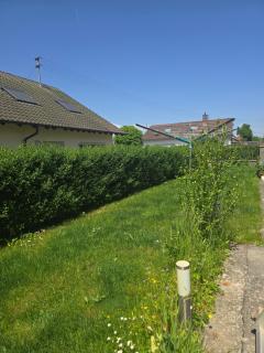 Baumgärtner - 3