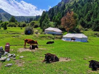 Hello Rakaposhi Camping Site - 2