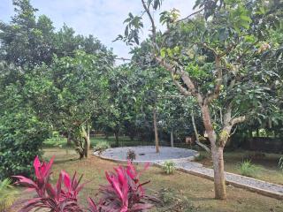 Foasis lodge kyebi gh - 8