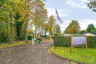 Chalet Stelleplas Hondvriendelijk 4 persoons chalet met omheinde tuin - 2
