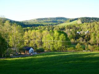 Horse Meadow Cottage - 7
