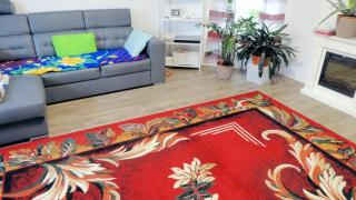 Private Apartment near Leine Center - 3