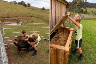 Tangory Farmstay - 2