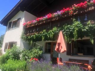 Pfeifer Birgitt - 1