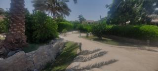 Palma Resort M164 - 2