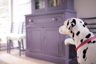 Scion Hill Gate Lodge - 1