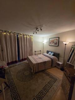 Chelsea Fulham King Room with Garden Access - 7