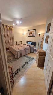 Chelsea Fulham King Room with Garden Access - 8