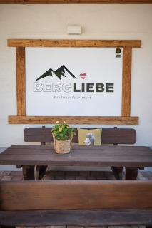 Boutique Apartment BERGLIEBE inklusive Joker Card Sommer - 1
