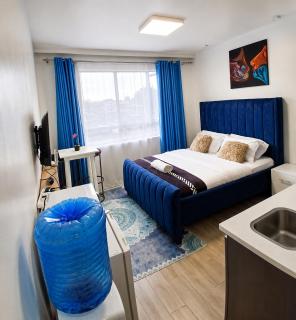 Kalayi Homes Studio apartment near JKIA, SGR, Pool, Gym and fast WiFi - 2