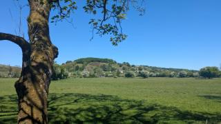 Caravan - Sleeps 8 pet friendly - 4