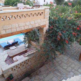 Dar nour tunis fayoum - 4