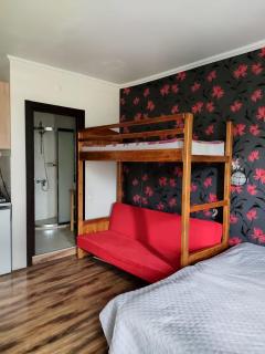 BAKURIANI MGZAVREBI N8 BLOCK flat 314 - 6