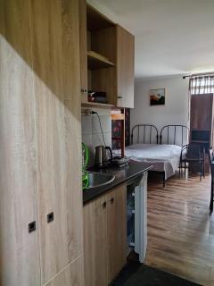 BAKURIANI MGZAVREBI N8 BLOCK flat 314 - 4