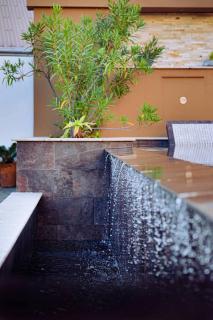 Lilie Location Fleur de Canne Piscine jardin - 5