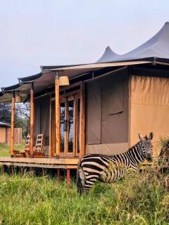 Naisula Serengeti Camp - 0