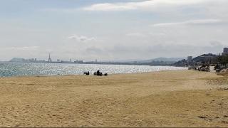 House near Barcelona, Beach and vineyards - 8