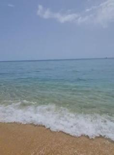 House near Barcelona, Beach and vineyards - 4