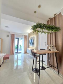 Chic Studio - Bucarest - 1
