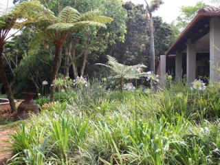 Ambience Inn White River - 1