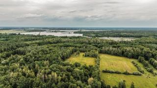 Siedlisko Basiówka -  - 7