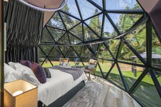 Glass Dome with Private Sauna and Forest Views - 3