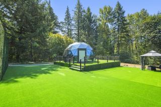 Glass Dome with Private Sauna and Forest Views - 0