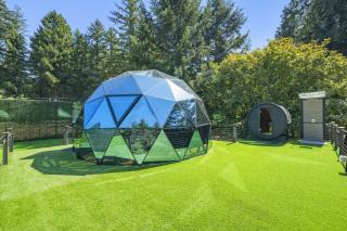 Glass Dome with Private Sauna and Forest Views - 8