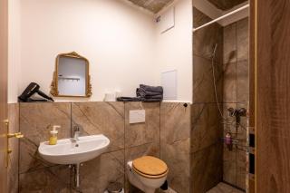 Brand New studio apartment #24 near center with FREE street parking - 7
