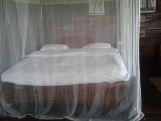 Ikoma Safari Lodge - 5