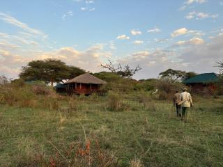 Ikoma Safari Lodge - 2