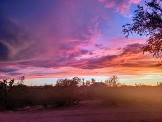 Cozy Desert Hideaway - 5