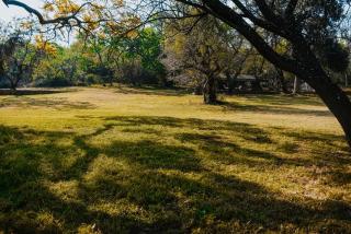 Historical Farm Villa - Wetlands Retreat, Cullinan - 6