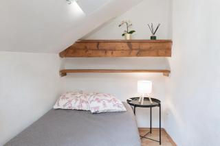 Golden Tree Loft in the Heart of Prague - Praga - 3